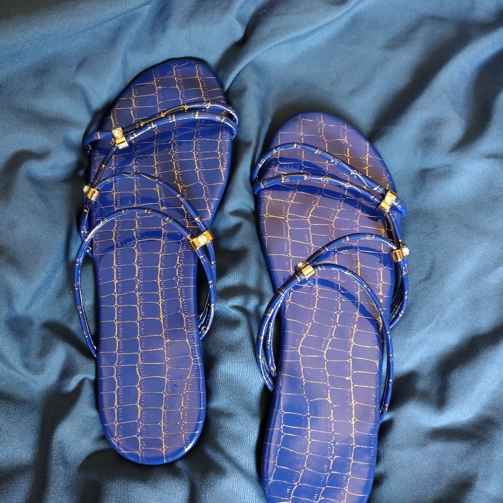 Blue and Gold Sandals
